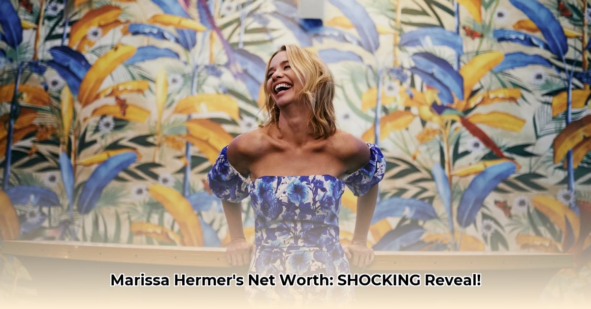 marissa-hermer-net-worth